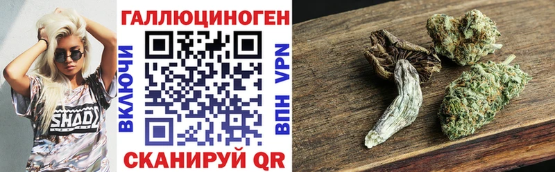 Псилоцибиновые грибы Cubensis  где можно купить   Чёрмоз 
